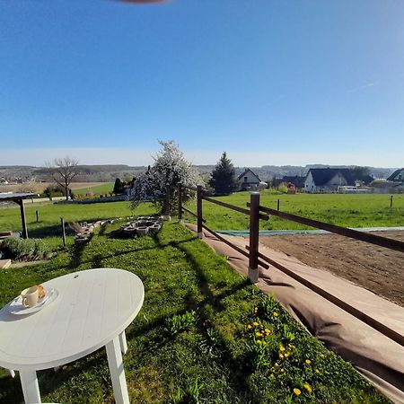 Location Type Gite, Chambre D'Hote, Meuble De Tourisme Dans Joli Petit Chalet Typique Et Ou Jolie Roulotte Type Boheme Waldighoffen Zewnętrze zdjęcie